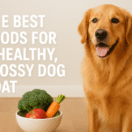 golden retriever with a shiny golden coat sitting beside a bowl of fresh vegetables including broccoli, carrot, and an apple, with text reading “The Best Foods for a Healthy, Glossy Dog Coat” on a soft beige background.